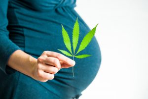 cannabis use pregnancy premature delivery michigan personal injury lawyers thurswell law