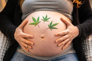 thc exposure in pregnancy thurswell law michigan